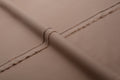CAMEL BROWN